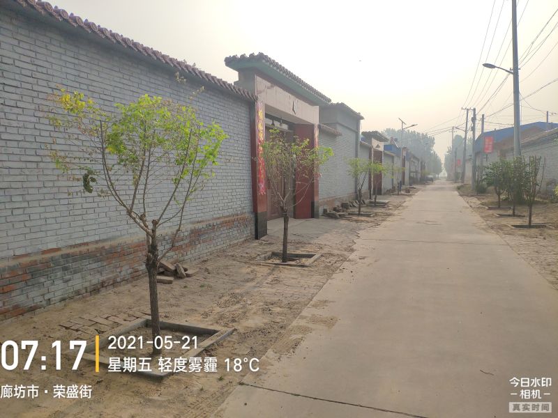 安次区东沽港镇街道景观提升工程